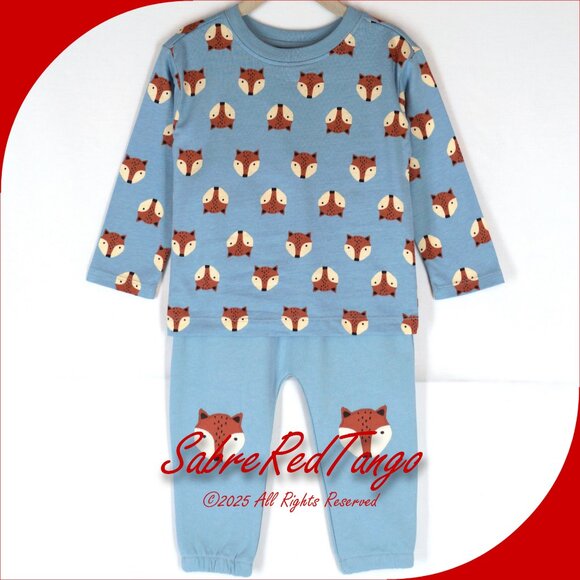 NWT Hanna Andersson Baby T-Shirt French Terry Pants Set Foxy North Air 85 2T 2